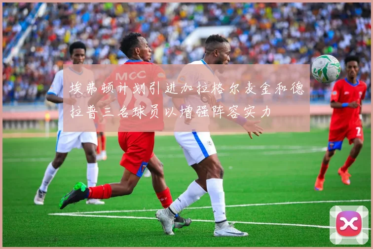 埃弗顿计划引进加拉格尔麦金和德拉普三名球员以增强阵容实力
