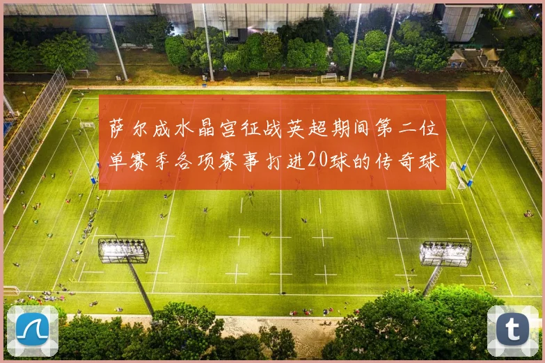 萨尔成水晶宫征战英超期间第二位单赛季各项赛事打进20球的传奇球员